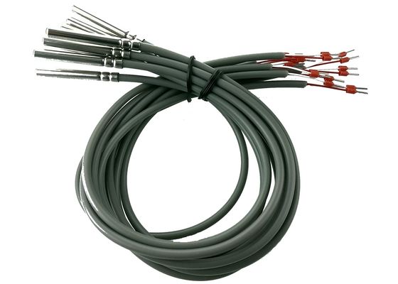 Capteur de température micro de résistance de platine du cours B PT100 de RDT longueur de 2 mètres avec le logement de l'acier inoxydable 304 de 6x50mm