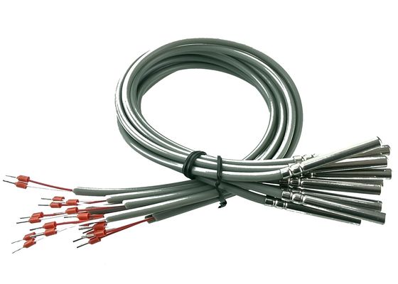Capteur de température micro de résistance de platine du cours B PT100 de RDT longueur de 2 mètres avec le logement de l'acier inoxydable 304 de 6x50mm